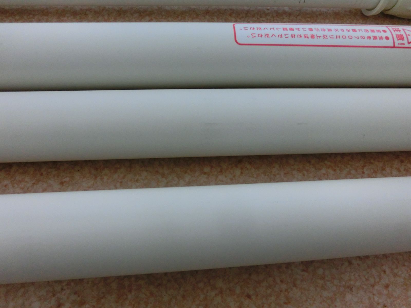 キャットフォレスト