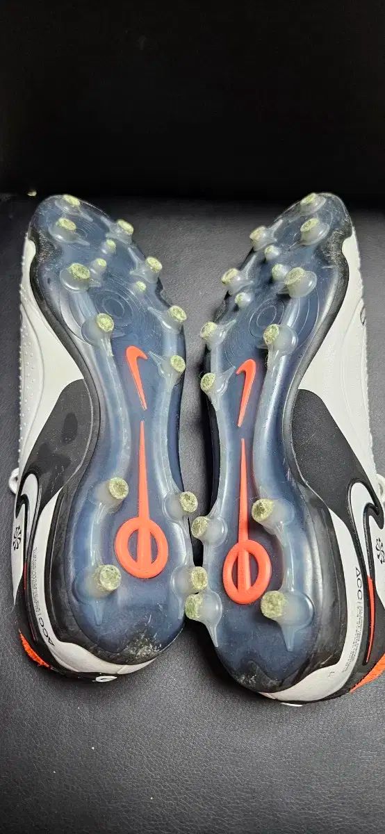 ティエンポ レジェンド10