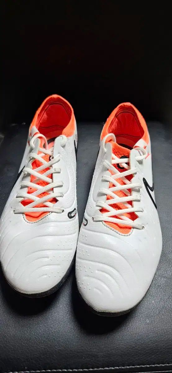 ティエンポ レジェンド10