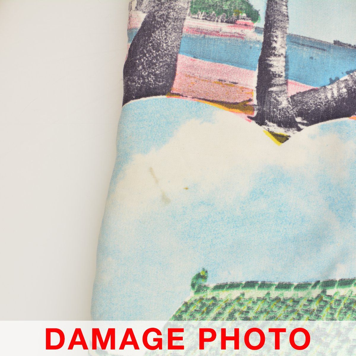 MAIDEN ピクチャープリント