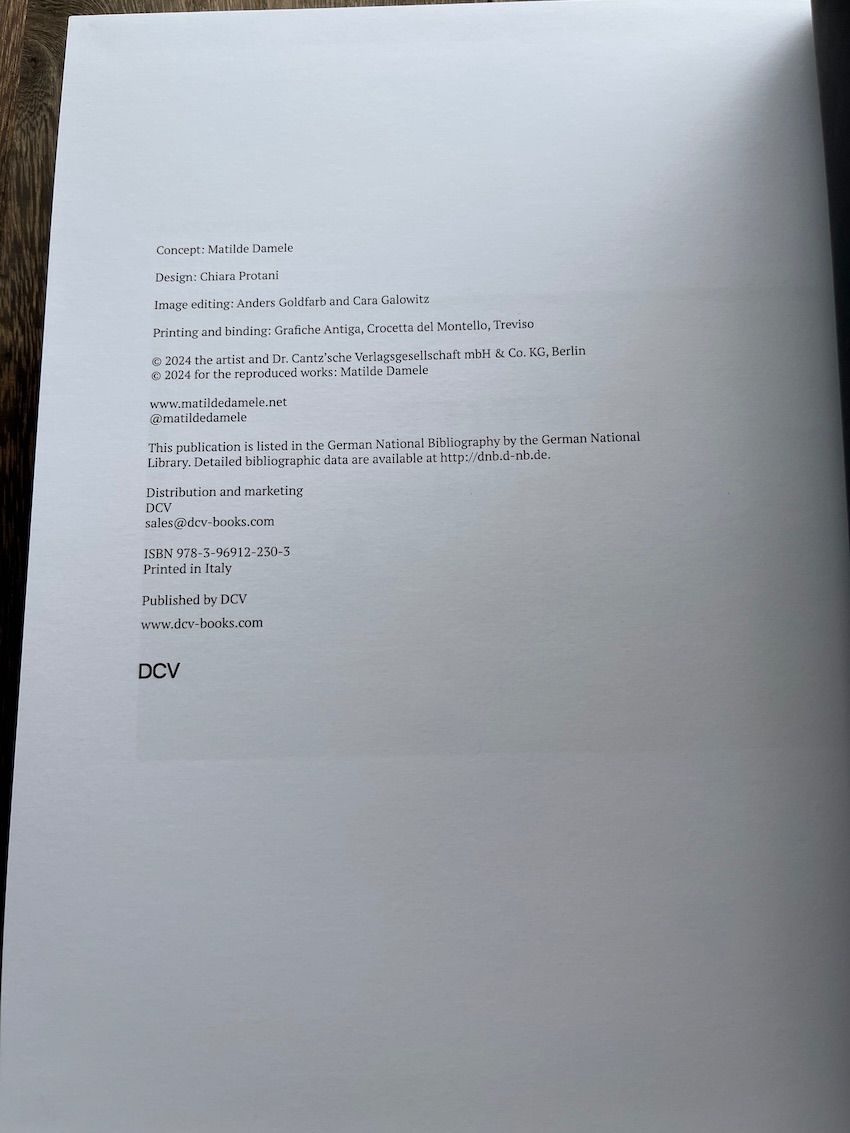 Matilde Damele – York 1999-2014 恋愛小説 高校生向け