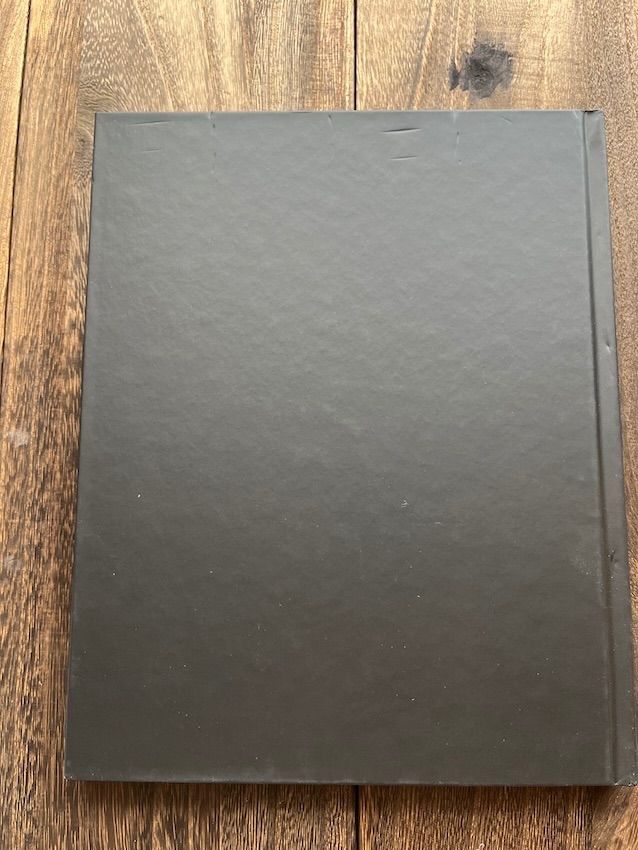 Matilde Damele – York 1999-2014