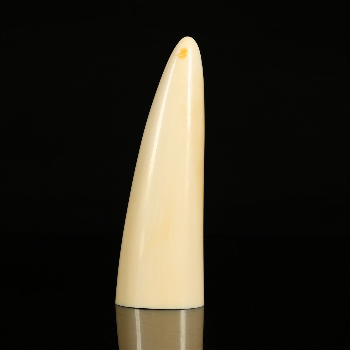 最大径5.2㎝ 重287