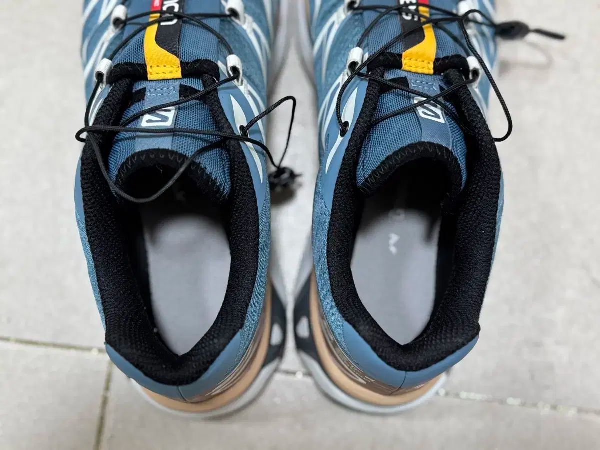 エーゲ海ブルー TORTOISE