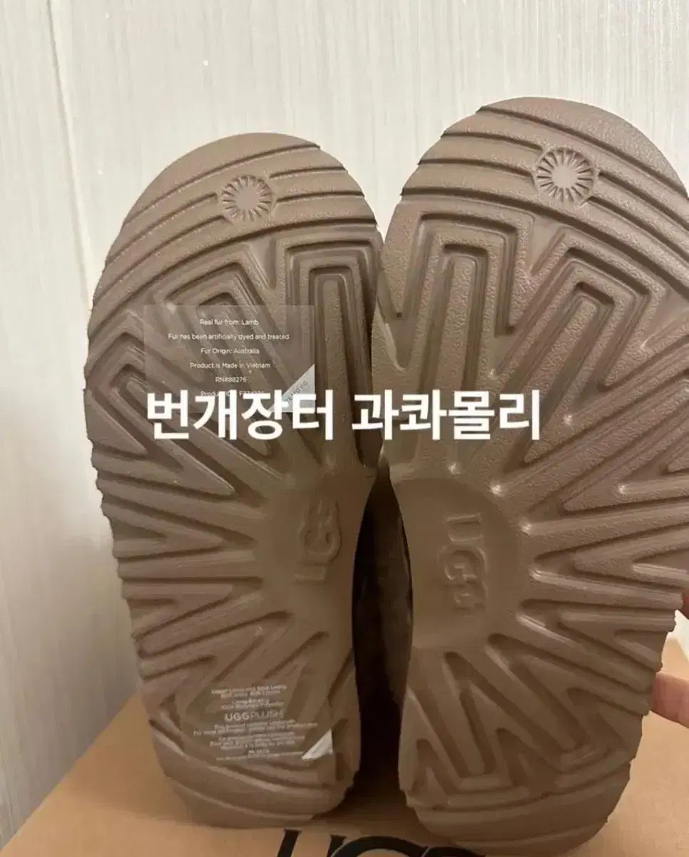 デート アグ ウルトラ ミニ フラップ チェスナット キッズ us5