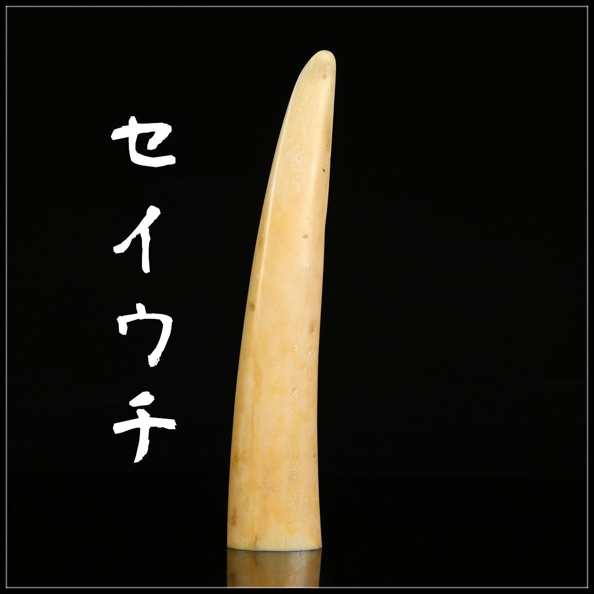 時代 セイウチ 東洋彫刻材 高22.5㎝ 最大径4.3㎝ 重218g 1214