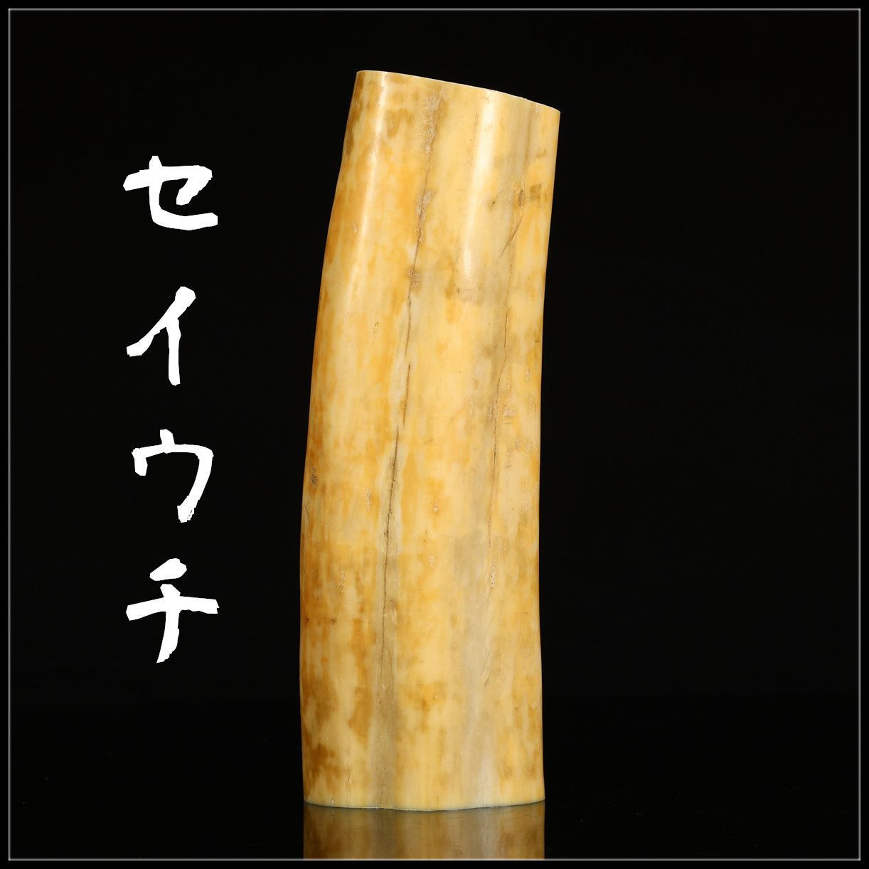 時代 セイウチ 東洋彫刻材 高19.6㎝ 最大径6.5㎝ 重690g 1215