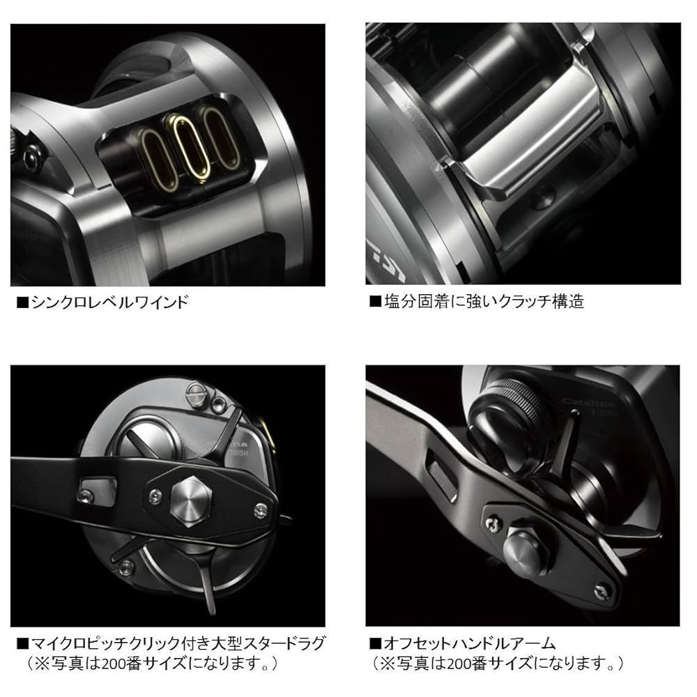  ダイワ DAIWA ベイトリール 15 キャタリナBJ 100 P RM 2015モデル ベイトリール(ルアー用) リール