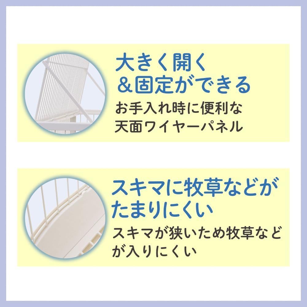 箱入り ジェックス