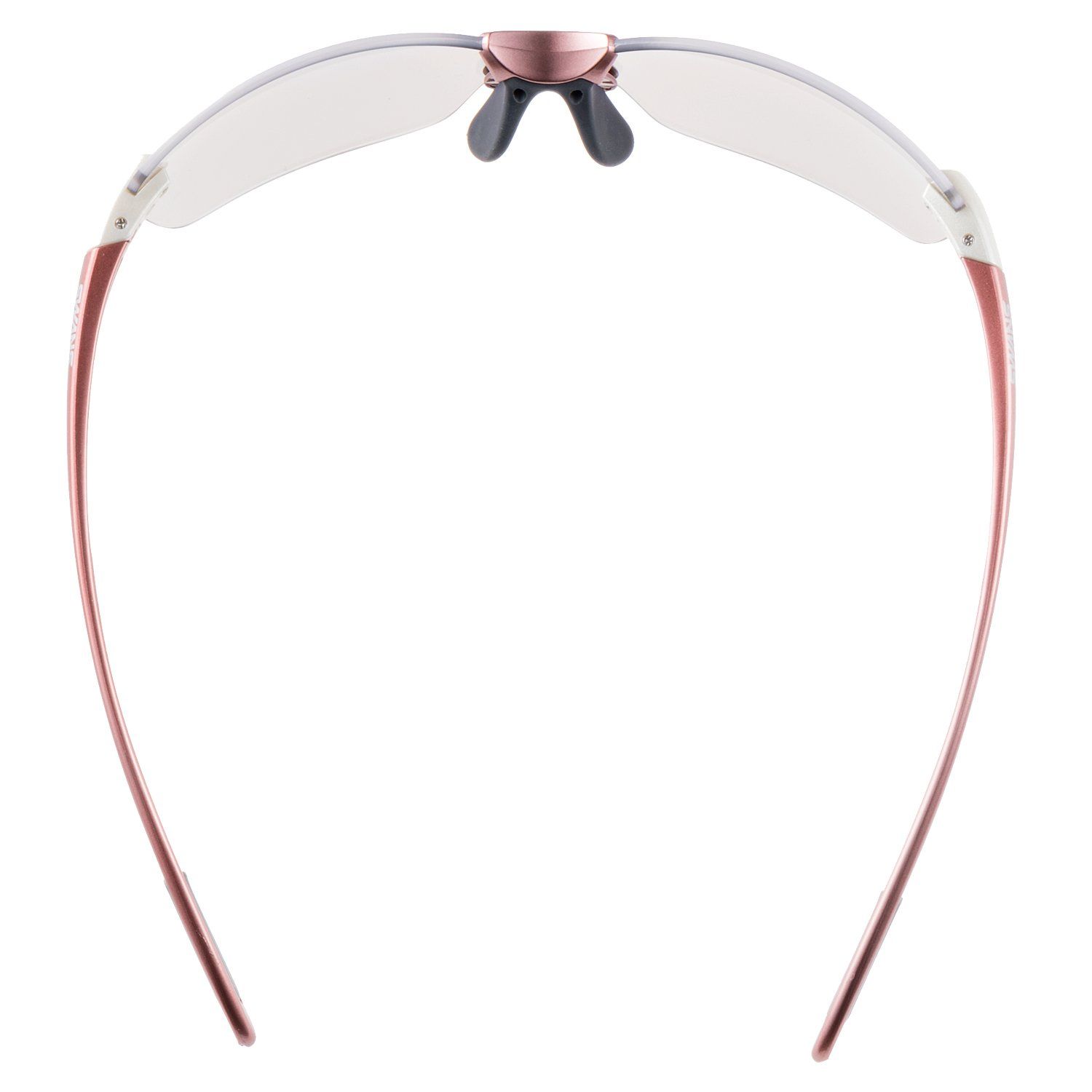 スワンズ ウィーキング