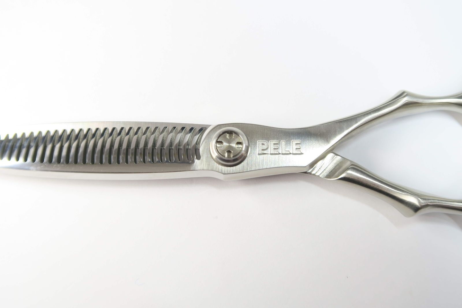 Bランク トギノン