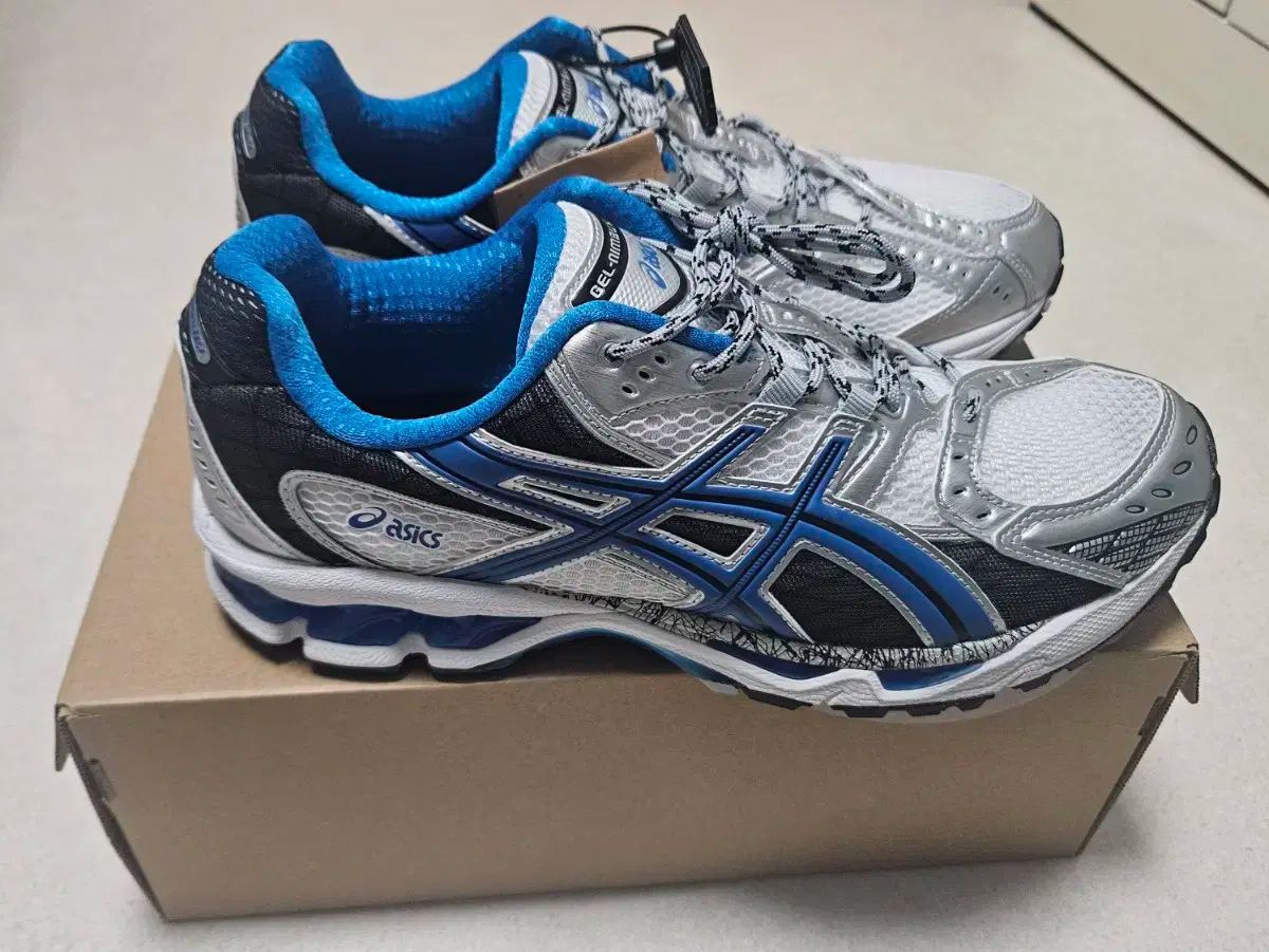アシックス ゲルニンバス10 1 282 5