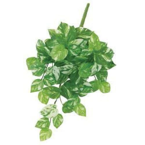 3営業日で発送 アスカ Asca ポトスブッシュ A-44399-053A 入数 12