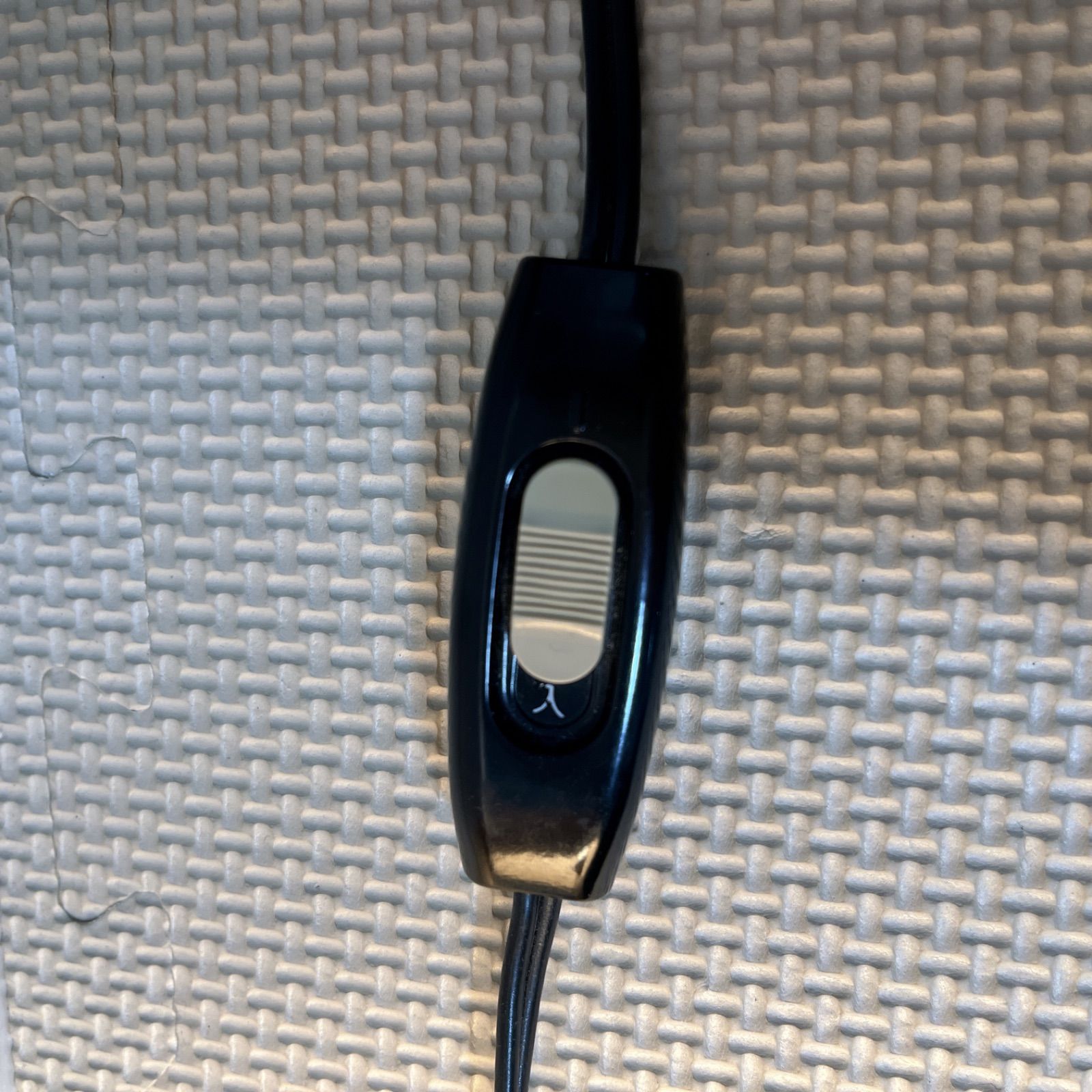 アンモナイト シェル