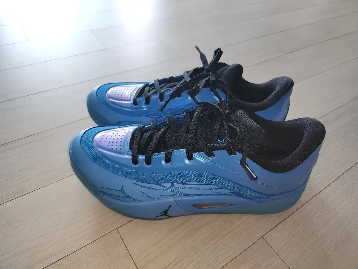 NIKE バスケットシューズ 265mm