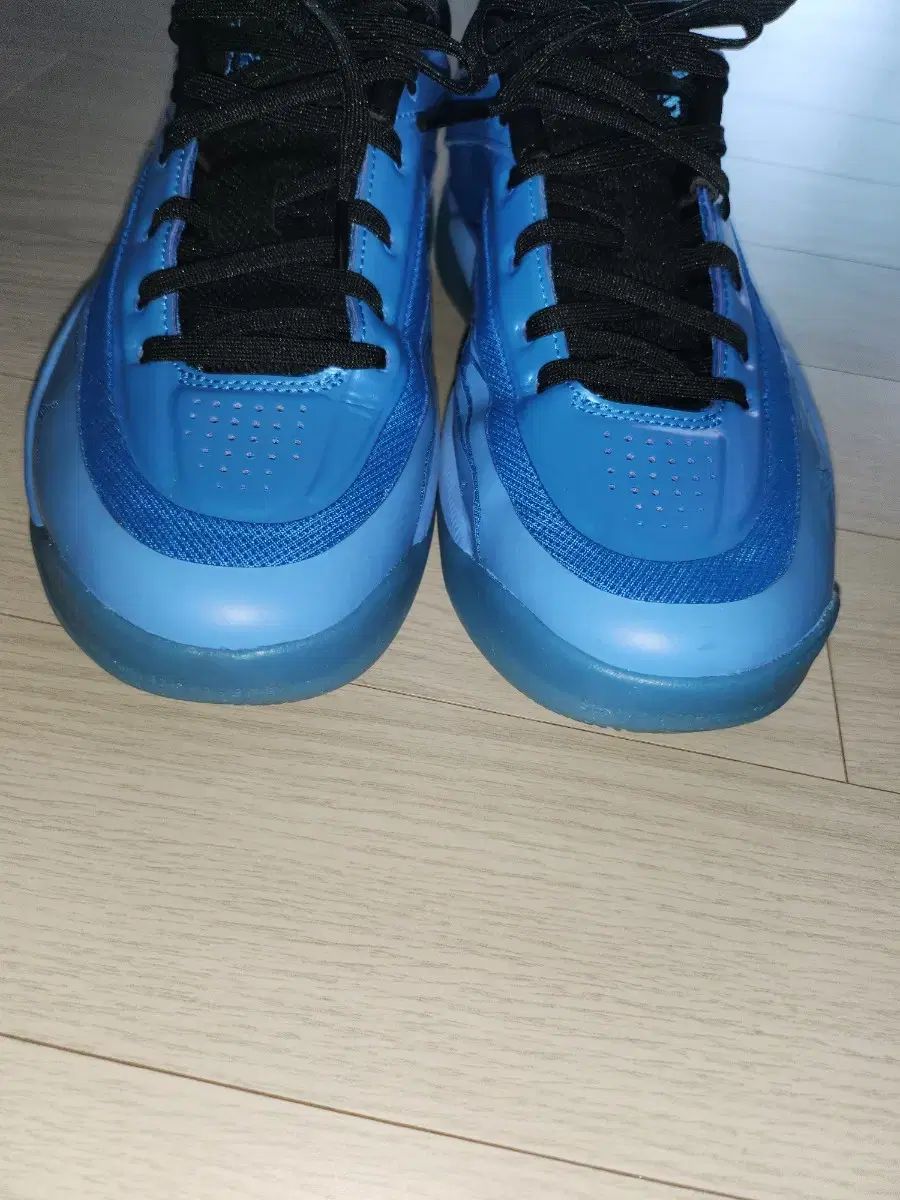 NIKE バスケットシューズ 265 mm