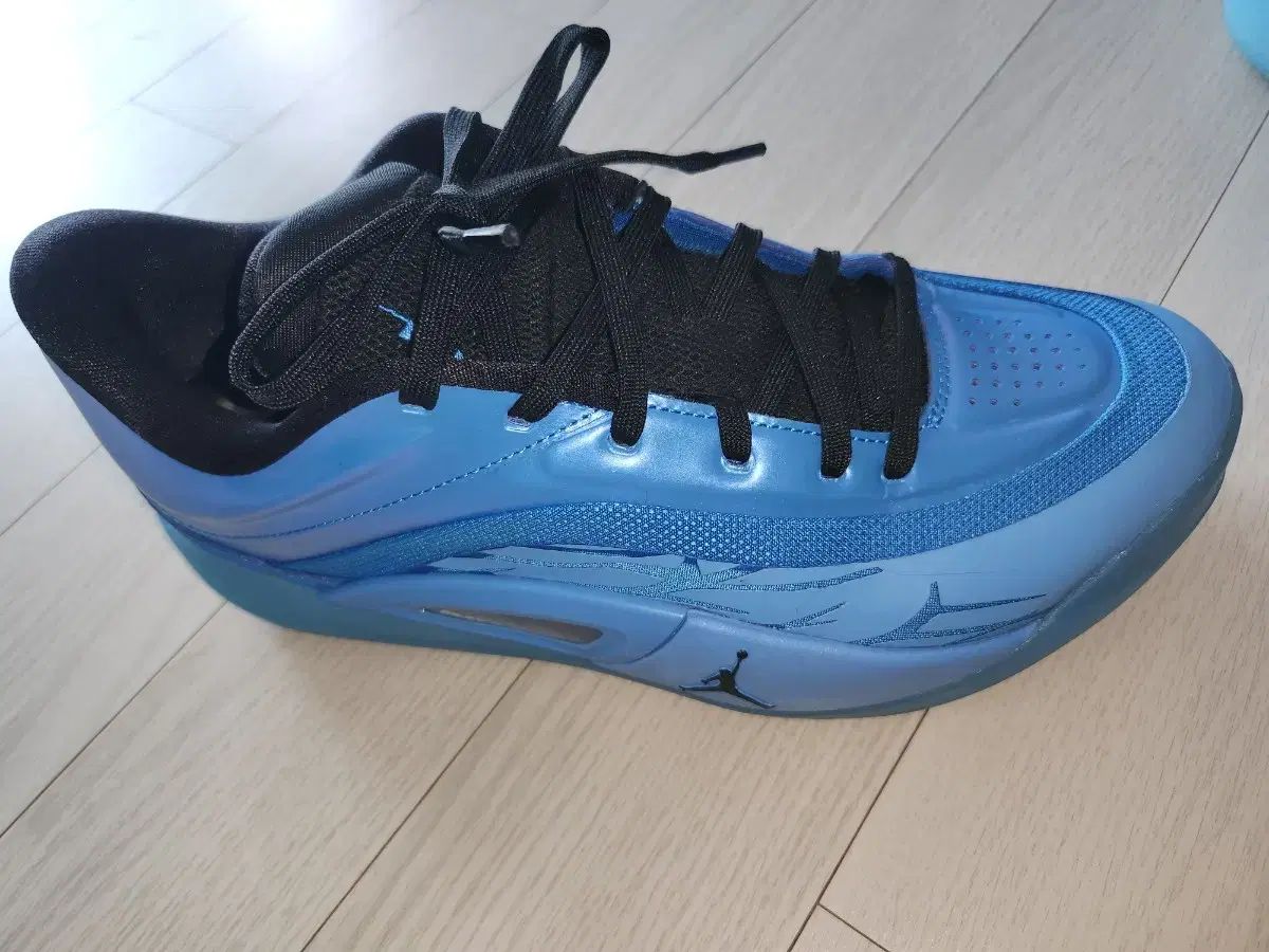 NIKE バスケットシューズ 265 mm