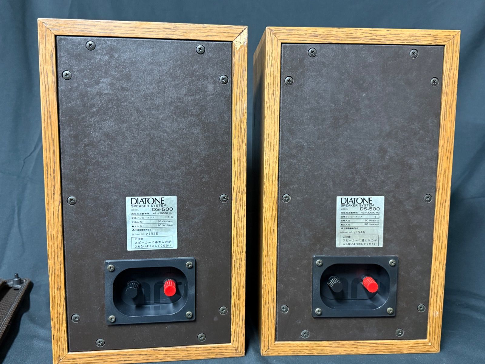 DS-500 店舗管理番号m