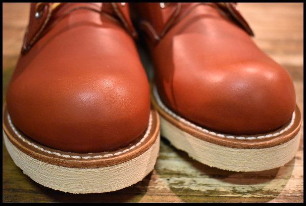 8166 アイリッシュセッター