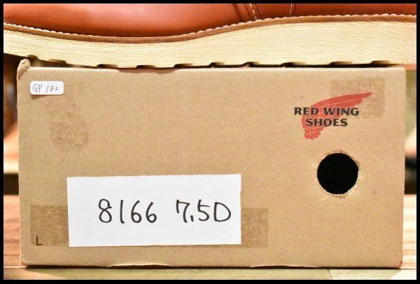 8166 アイリッシュセッター