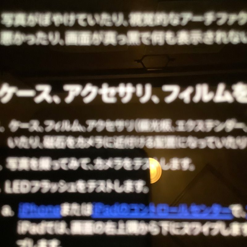 Apple iPad mini5 64GB 整備済み品 セルラー Wi-Fiモデル シルバー 品 アウトカメラ×