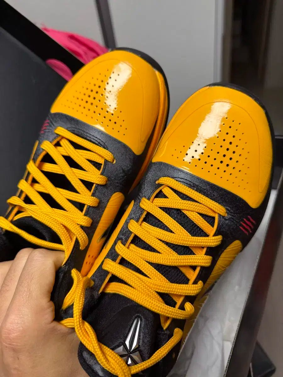 ナイキ コービー5 ブルース リー 本日限定値下げナイキ コービー5