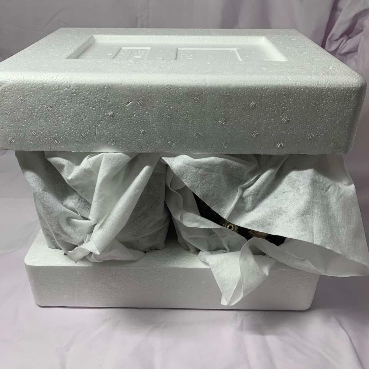 DALI オーディオ機器 ペアスピーカー MENTOR MENUET SE 242156