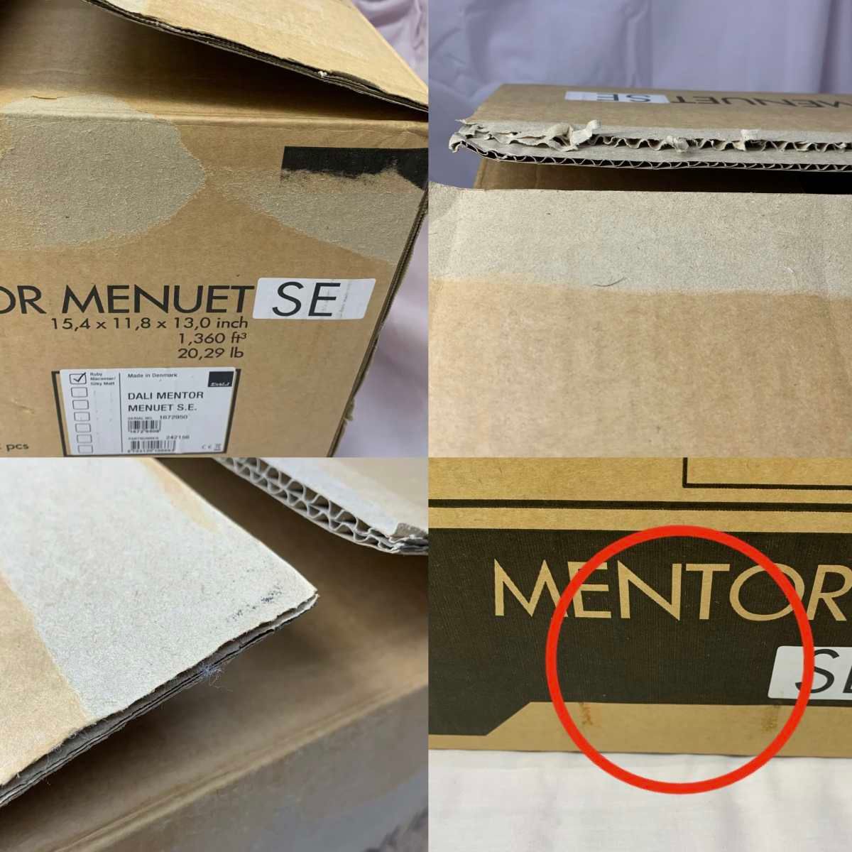 MENTOR MENUET