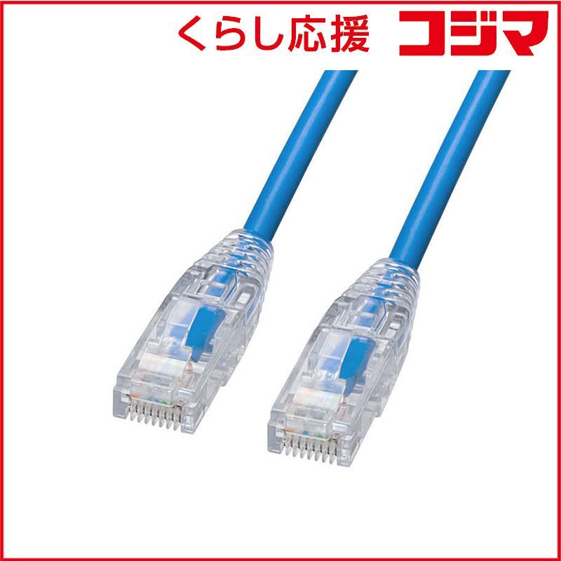 dongkiz ムニク トレカ