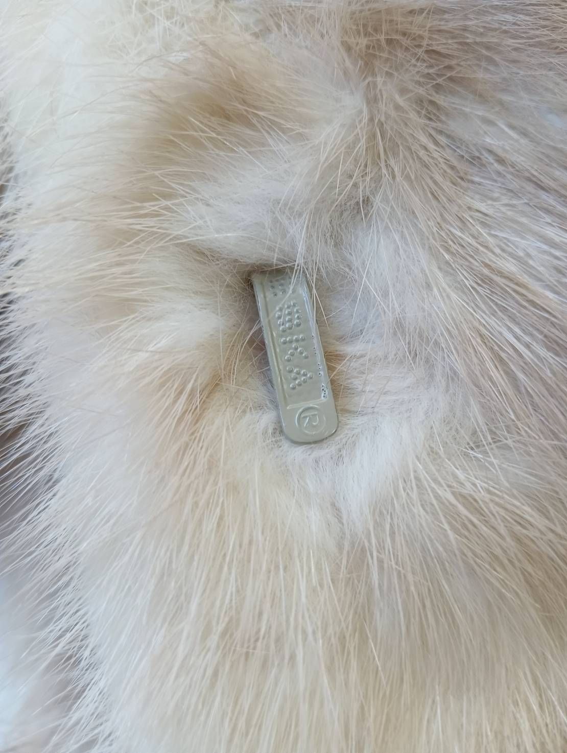 名前入り 現状品