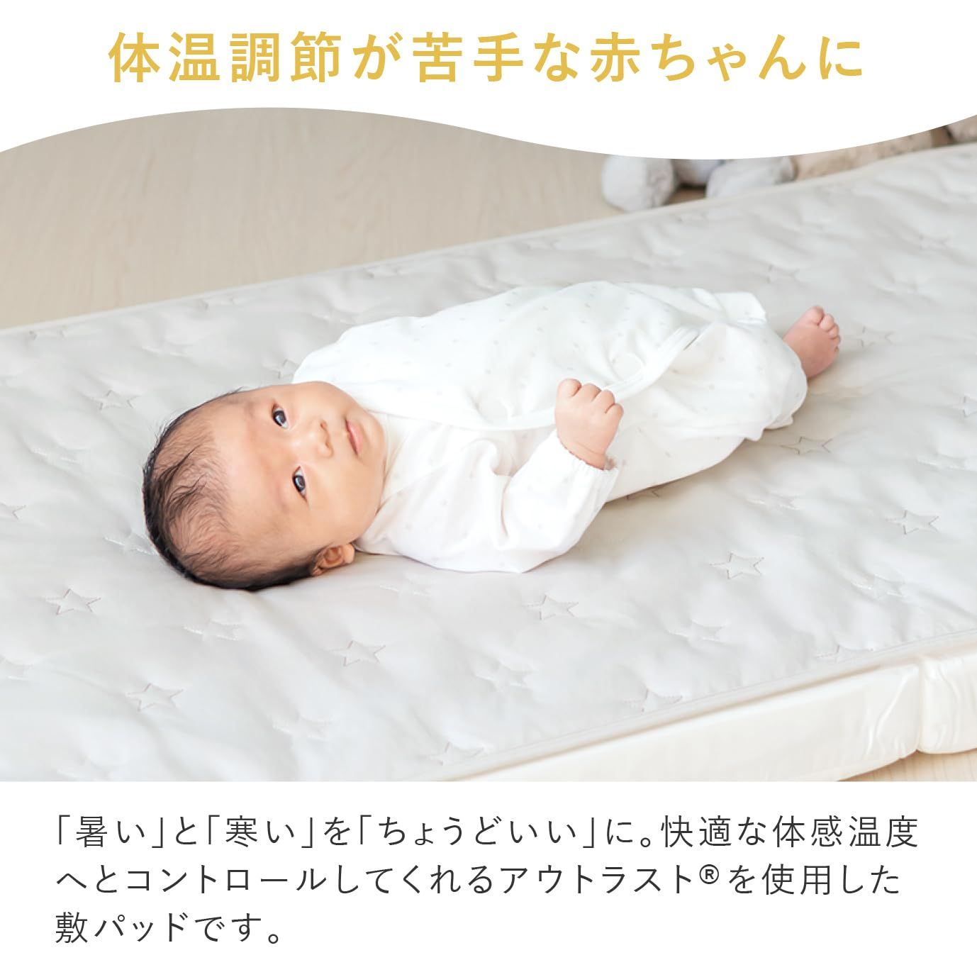 アウトラスト レギュラーサイズ