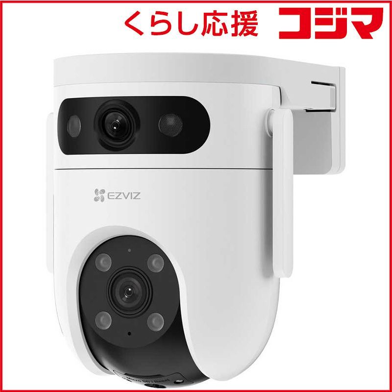 トップ 九谷焼 椿山窯 若村紫紅 梅の絵柄のお皿 2枚セット