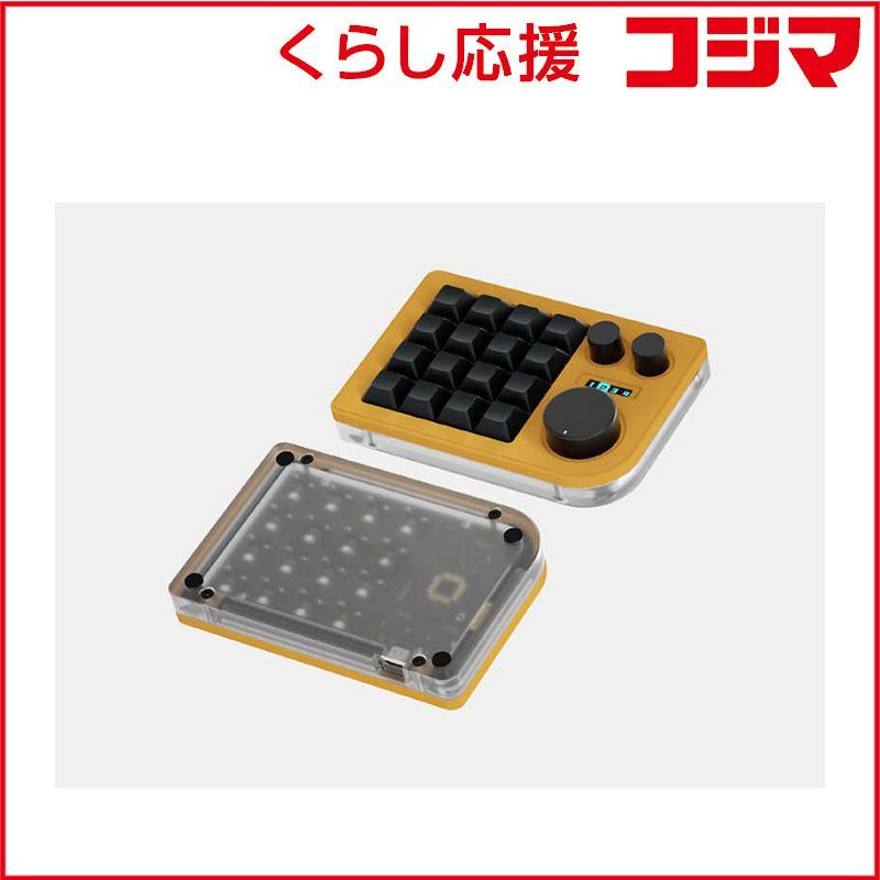正抱(縄手昌晴)作 椿蒔絵 棗 茶道具 共箱共布 AZ626 N5 【公式通販】