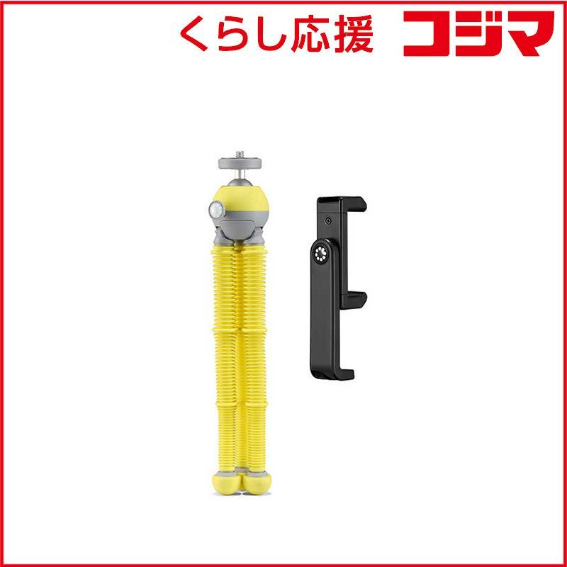 専用出品 リピ割 ユッカロストラータ 曲がり (ろ)