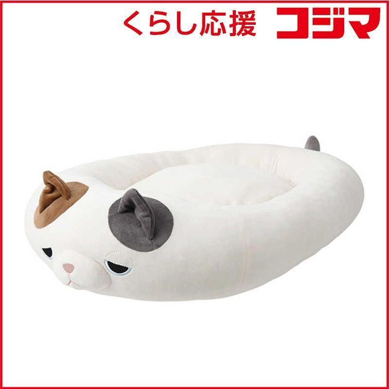 販売 極美品‼️北九州市福岡市限定 アクア 冷蔵庫 2025年製 137L 福岡