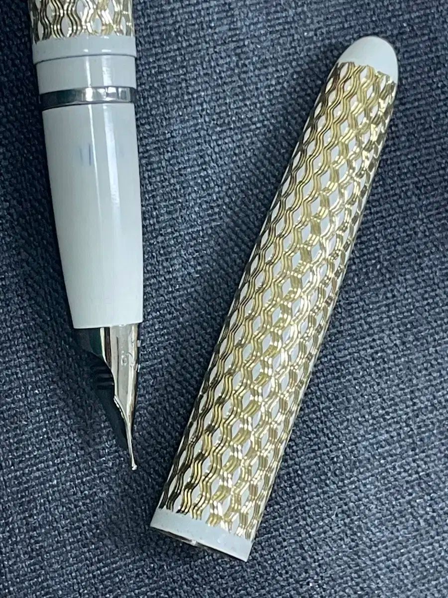  シェーファー万年筆レディシェーファースクリプタ V スチール Fニブ 語学 辞書 学習参考書 本