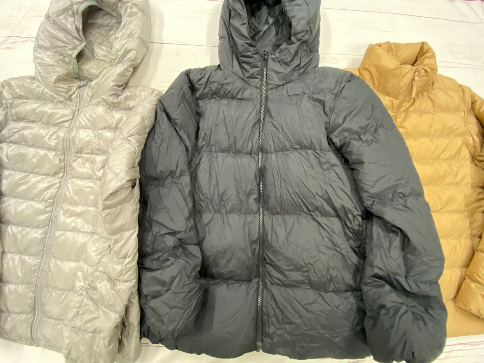 ジップアップ ライブダウン