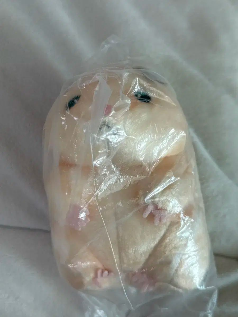 ZEROBASEONE ゼロベースワン ZB1 ゼベワン ゼロニ ビーニー 助六