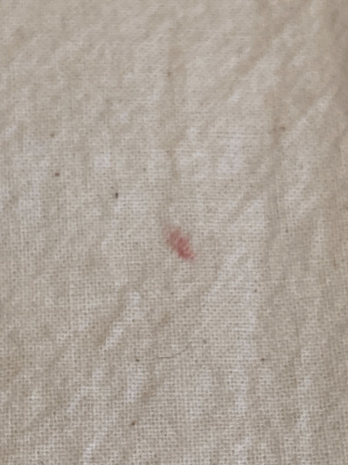 251106 MARNI マルニ 籠バッグ イエロー チェック柄