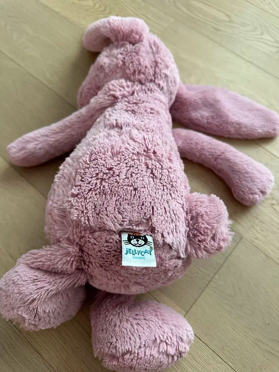 ジェリーキャット バニー