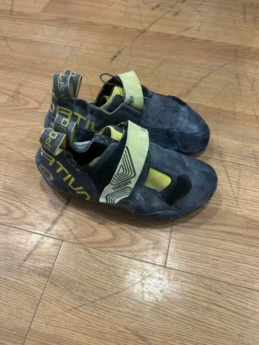 スポルティバ Theory クライミングシューズ