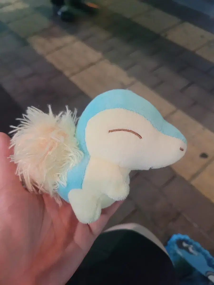 ポケットモンスター ヒノアラシ パステル ぬいぐるみ IN