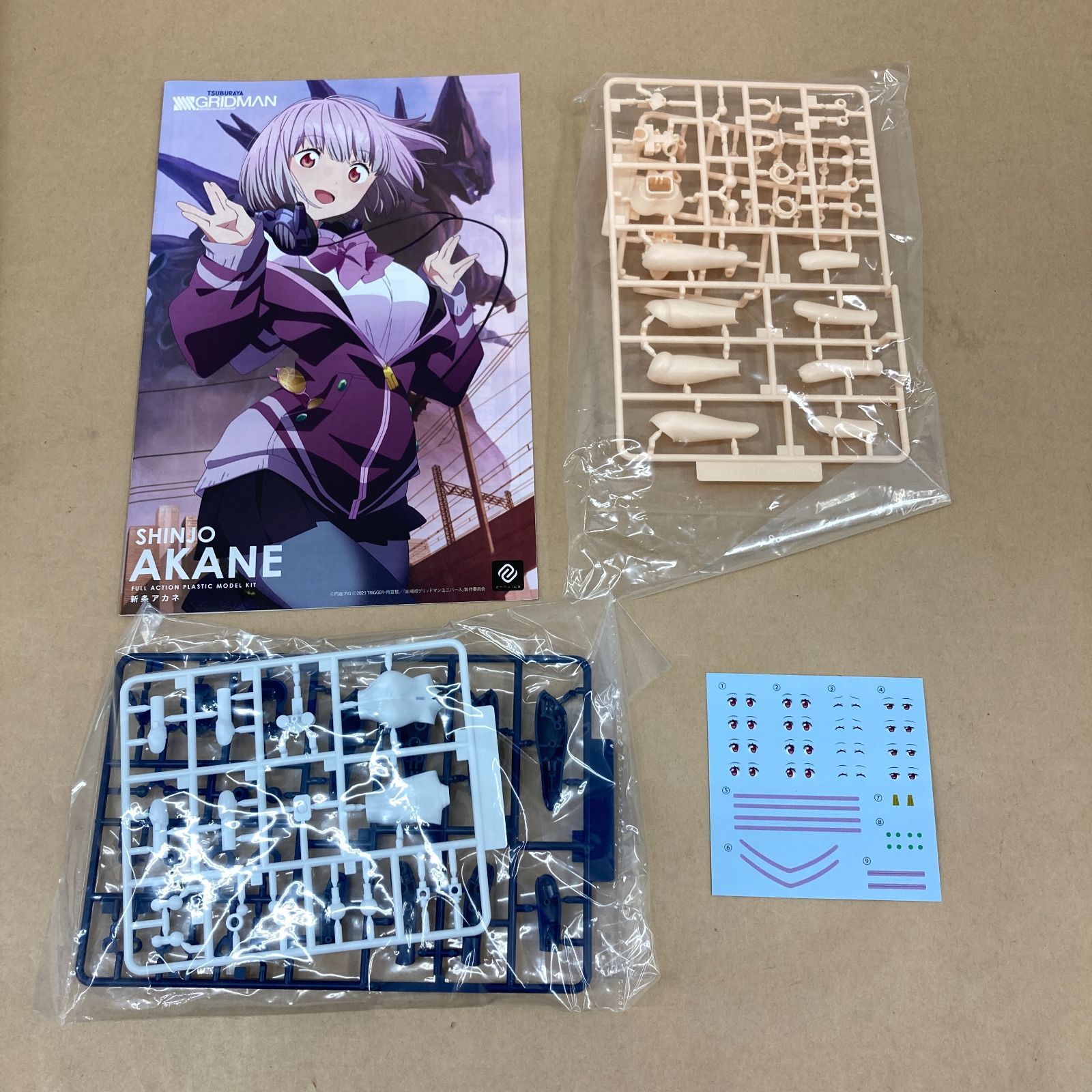 SSSS.GRIDMAN 宝多六花