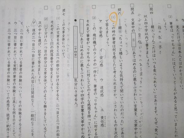 新品 日能研 5年 夏期講習特別テスト全3回分 夏期講習テスト 3回分の