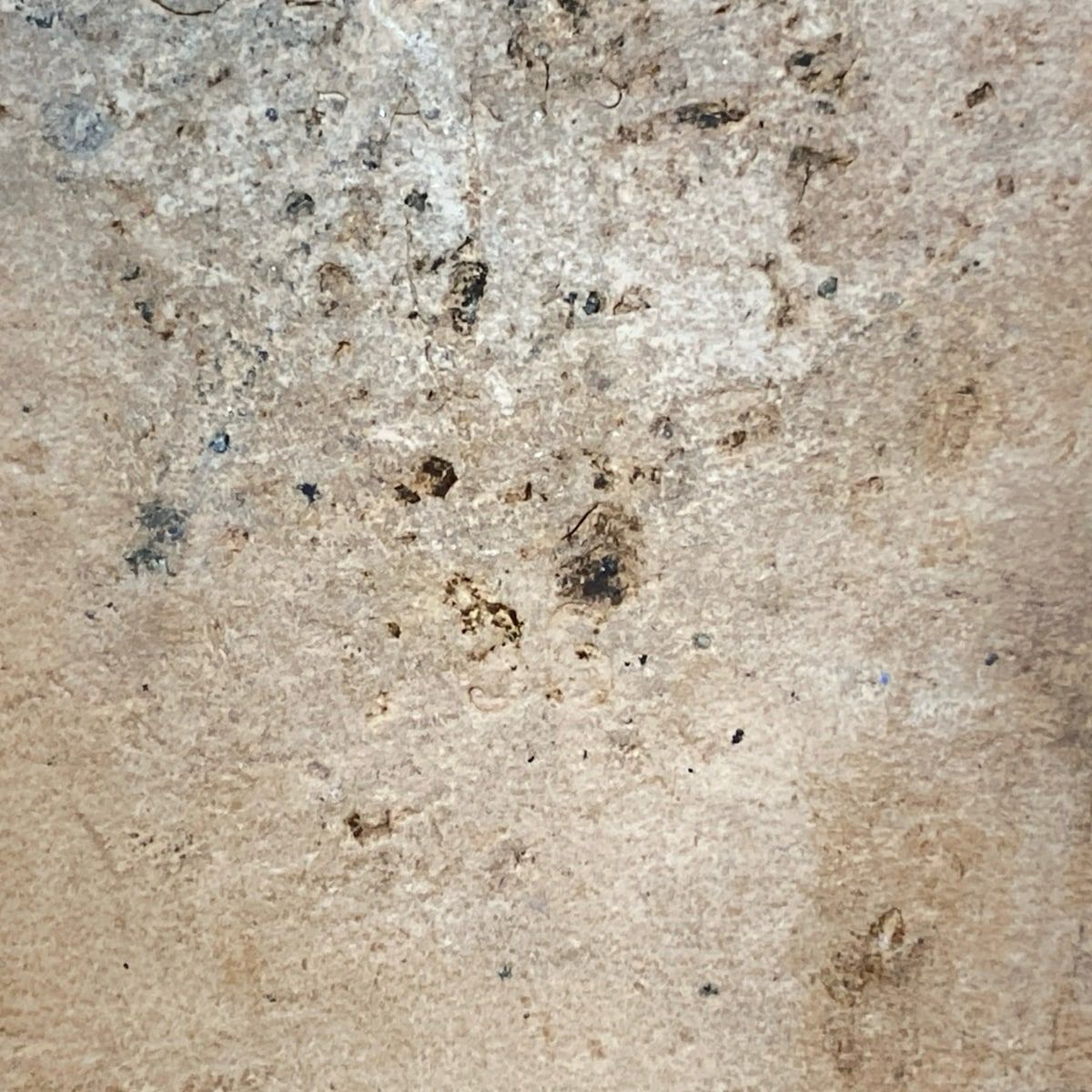 - ブルー×ベージュ