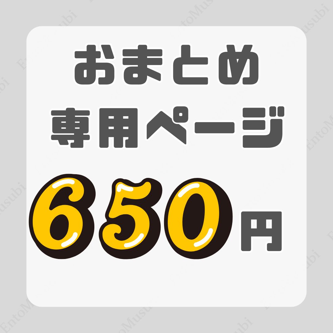 専用ページ　おまとめ割引-650 おまとめ650円】｜おまとめ割引専用ページ｜組み合わせ自由 - メルカリ