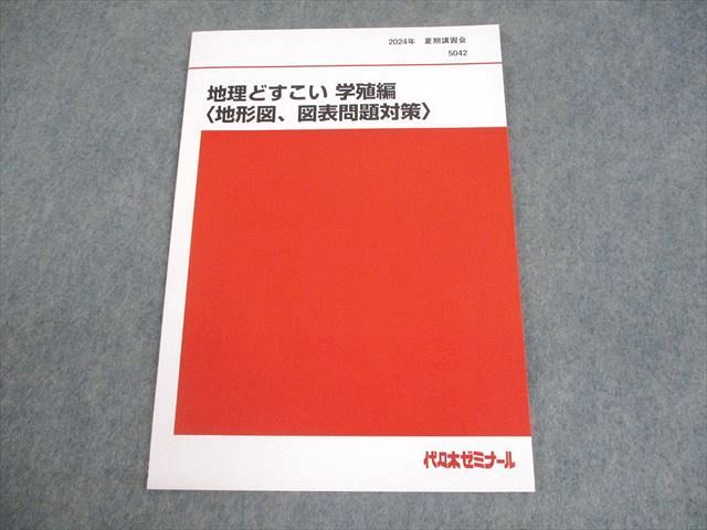 代々木ゼミナール 代ゼミ 地理どすこい 学殖編 地形図 図表問題対策 テキスト 状態良い 2025 夏期 武井明信 007s0D