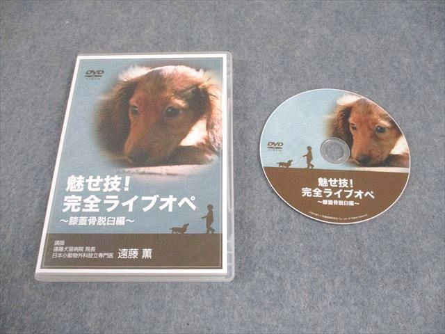 インターズー 獣医学 魅せ技 完全ライブオペ ~膝蓋骨脱臼編~ DVD1巻 遠藤薫 016s3D
