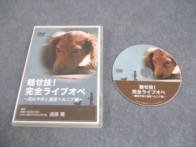 インターズー 獣医学 魅せ技 完全ライブオペ ~避妊手術と鼠経ヘルニア編~ DVD1枚 遠藤薫 016s3D