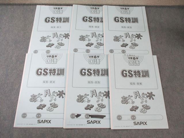 SAPIX 小6 サピックス GS特訓 国語 GSー01~06 計6回分 2025 017m2D